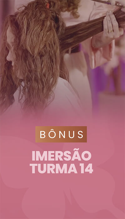 Modulos_0000_15 Imersao